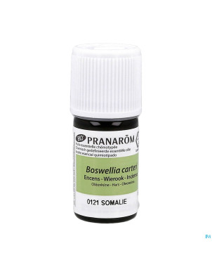 Encens oliban somalie bio    5ml