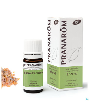 Encens oliban somalie bio    5ml