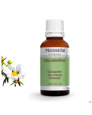 Ciste ladanifere    hle ess  30ml pranarom
