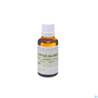 Eucalyptus globuleux    hle ess  30ml pranarom