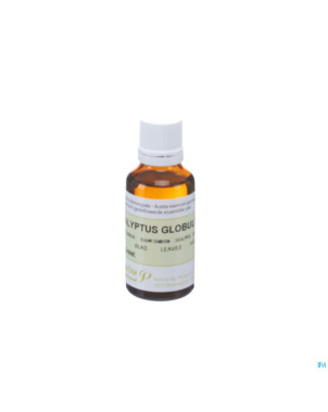 Eucalyptus globuleux    hle ess  30ml pranarom