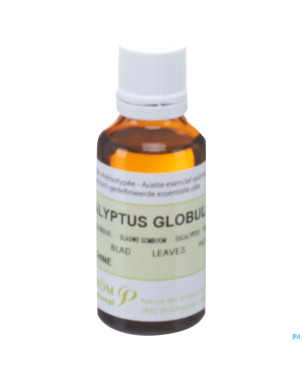 Eucalyptus globuleux    hle ess  30ml pranarom