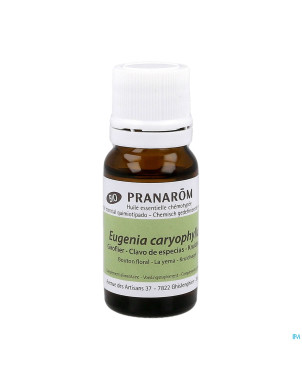Pranarom he clou de girofle bio 10ml