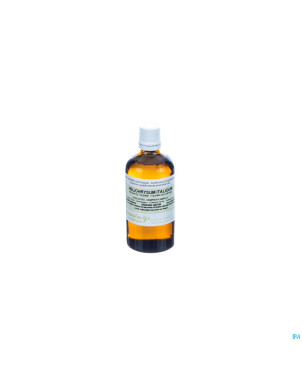 Immortelle helichrysum    hle ess 100ml pranarom