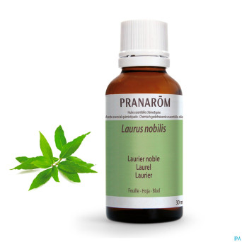 Pranarom he laurier noble 30ml