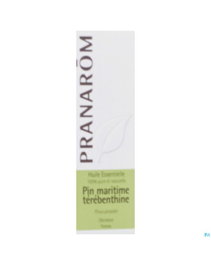 Pin maritime terebenthine   hle ess  10ml pranarom