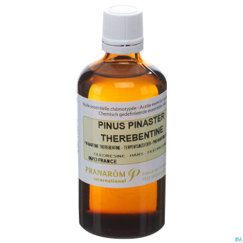 Pin maritime terebenthine   hle ess 100ml pranarom