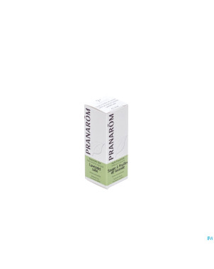 Sauge feuilles lavande    hle ess  10ml pranarom