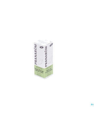 Pranarom he sauge officinal bio    10ml