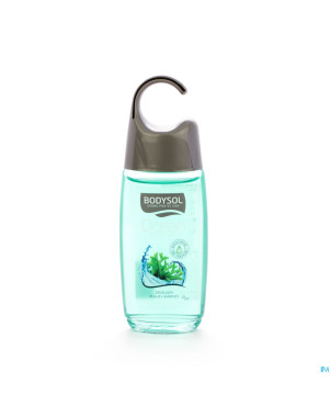 Bodysol douche ocean algues marins 250ml