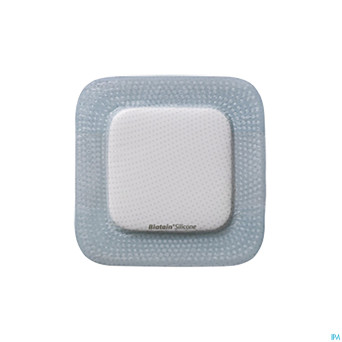 Biatain silicone pans mousse  15,0x15,0cm  5 33437