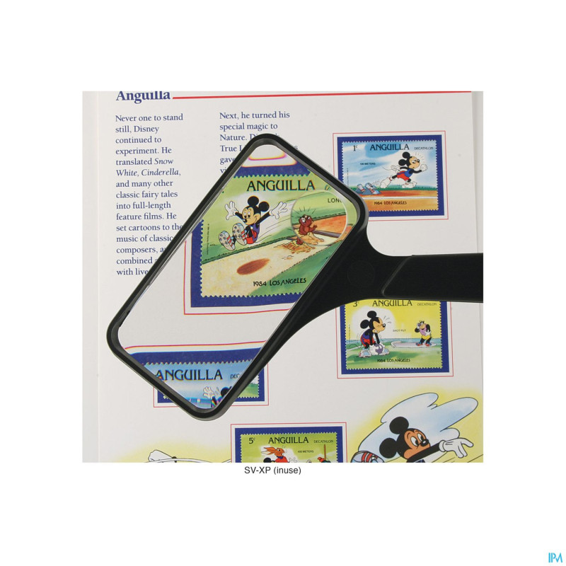 Loupe rectangulaire claire    able2