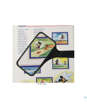 Loupe rectangulaire claire    able2