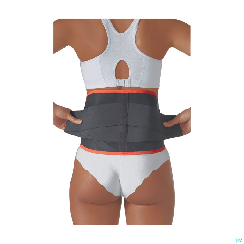 Soutien dorsale univers. harley  56x 69cm  s able2