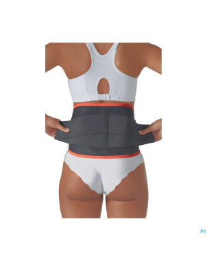 Soutien dorsale univers. harley  86x 99cm  l able2