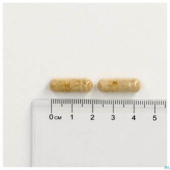 Memoryforce    caps  60