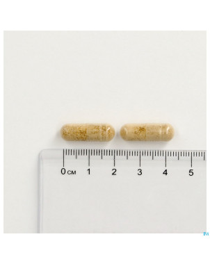 Memoryforce    caps  60