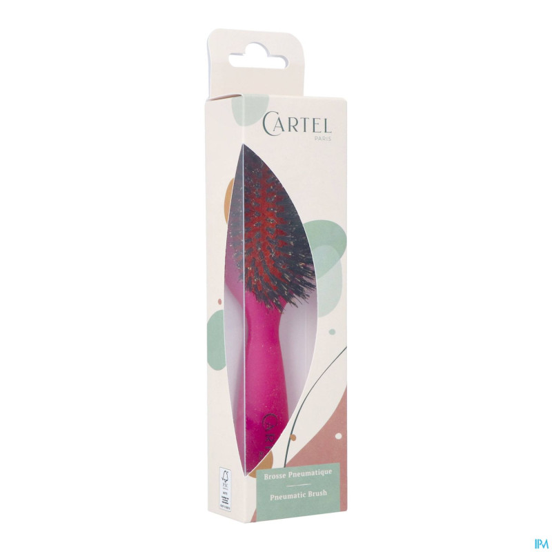 Cartel brosse pneumatique 100% sangl.sac couleur