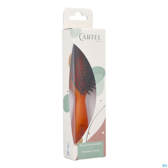 Cartel brosse pneumatique 100% sangl.sac couleur