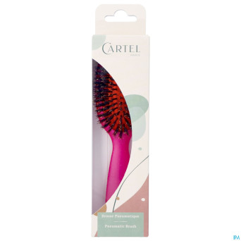Cartel brosse pneumatique 100% sangl.sac couleur