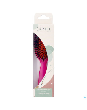 Cartel brosse pneumatique 100% sangl.sac couleur