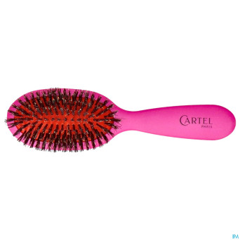 Cartel brosse pneumatique 100% sangl.sac couleur