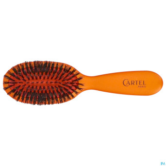 Cartel brosse pneumatique 100% sangl.sac couleur