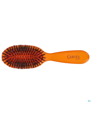 Cartel brosse pneumatique 100% sangl.sac couleur