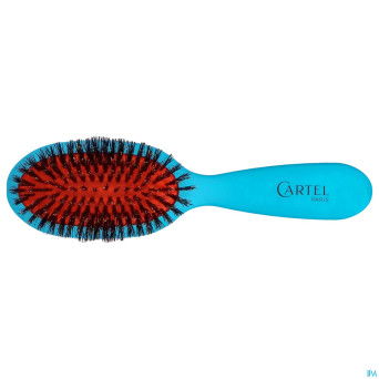 Cartel brosse pneumatique 100% sangl.sac couleur