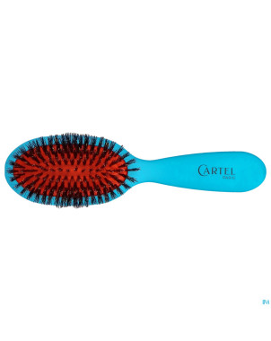 Cartel brosse pneumatique 100% sangl.sac couleur