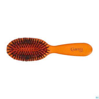Cartel brosse pneumatique 100% sangl.sac couleur