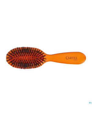 Cartel brosse pneumatique 100% sangl.sac couleur
