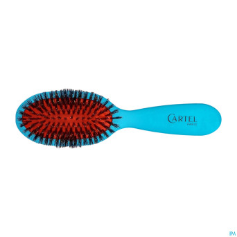 Cartel brosse pneumatique 100% sangl.sac couleur
