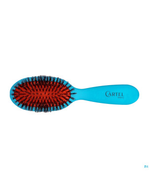 Cartel brosse pneumatique 100% sangl.sac couleur