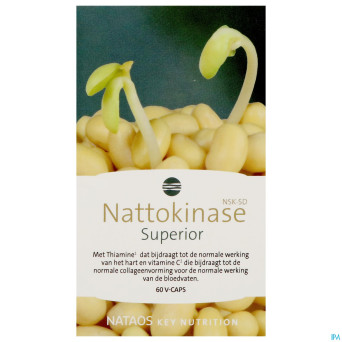 Nattokinase nsk-sd   caps  60x100mg