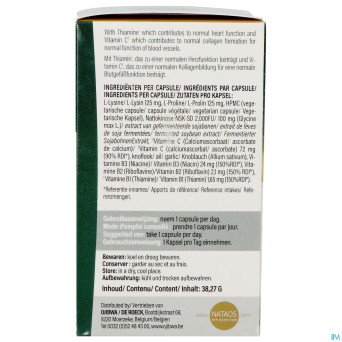 Nattokinase nsk-sd   caps  60x100mg