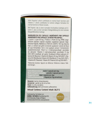 Nattokinase nsk-sd   caps  60x100mg