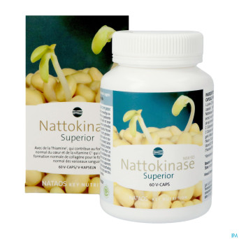 Nattokinase nsk-sd   caps  60x100mg