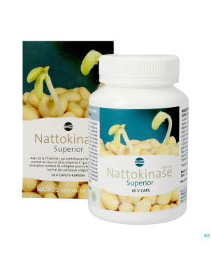 Nattokinase nsk-sd   caps  60x100mg