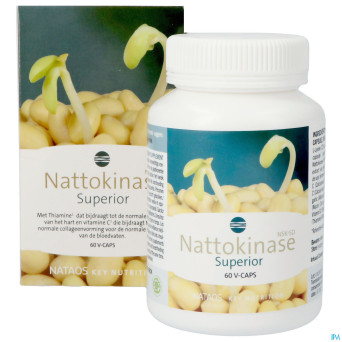 Nattokinase nsk-sd   caps  60x100mg