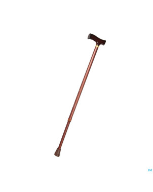 Canne standard aluminium    able2