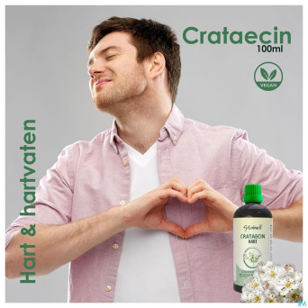 Fytobell crataecin nf    gutt 100ml