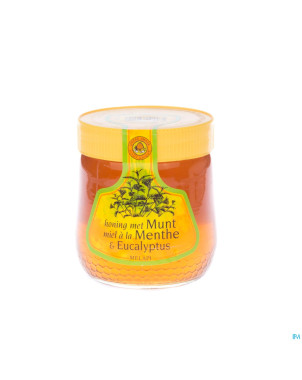Melapi miel menthol liquide    500g 5572