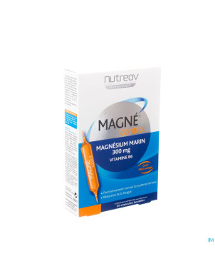 Magnecontrol    amp buv 20