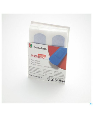 Dermapatch disp.recharge lavable-detect 25x72mm 30