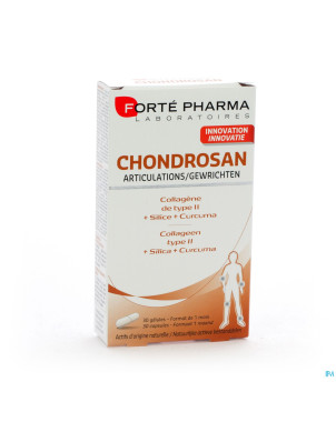 Chondrosan caps 30