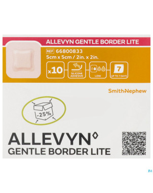 Allevyn gentle border lite  5,0x 5,0cm 10 66800833