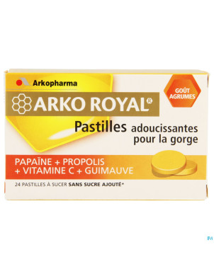 Arkoroyal propolis-papaine-orange  past a sucer 24