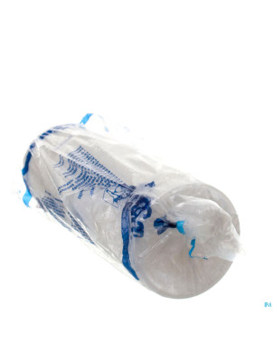 Sachets pour vomir 50