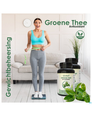 Fytobell the vert    comp 180